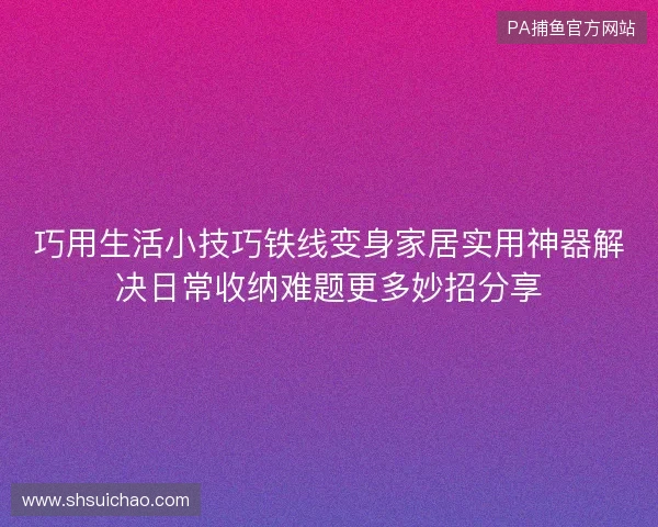 巧用生活小技巧铁线变身家居实用神器解决日常收纳难题更多妙招分享 巧用生活小技巧铁线变身家居实用神器解决日常收纳难题更多妙招分享